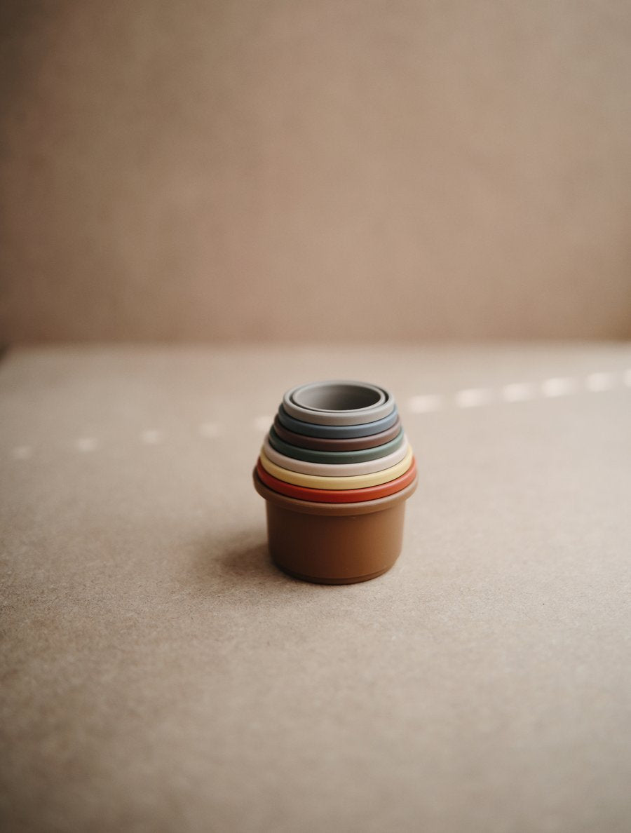 Stacking Cups Toy 疊疊杯 (Retro)