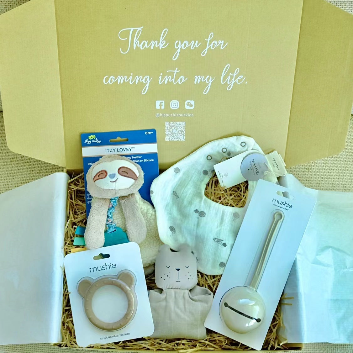 New Born Baby Gift Set 初生寶寶禮籃 (Lovely Sloth Boy)