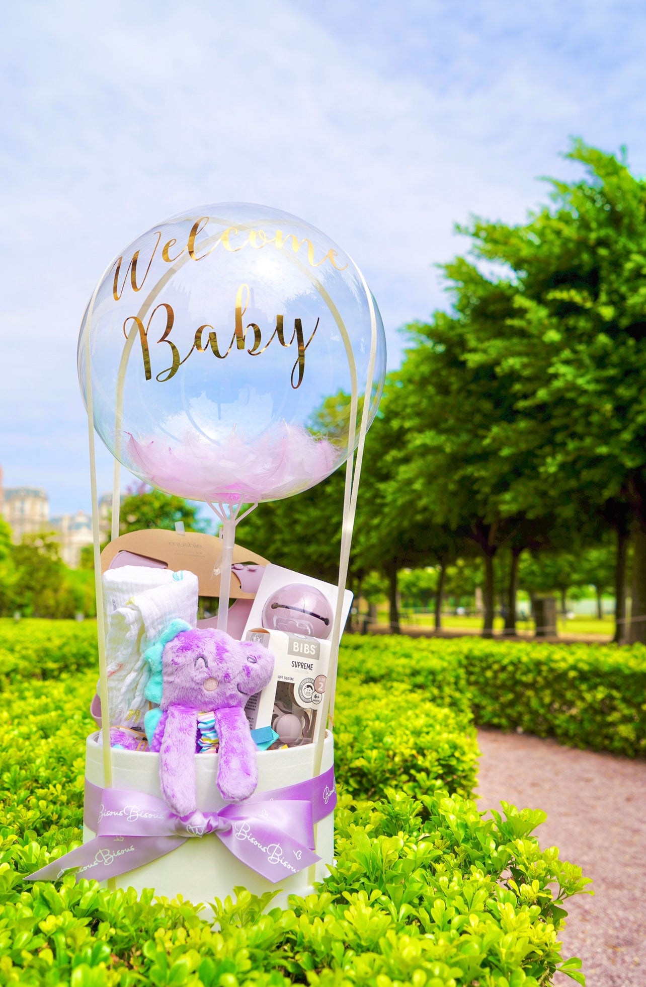 New Born Baby Gift Set 初生寶寶禮籃 (Deluxe Purple Set)