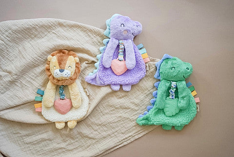 Itzy Ritzy Lovely Plush With SIlicone Teether Toy 咬咬安撫巾 (Green Dino)